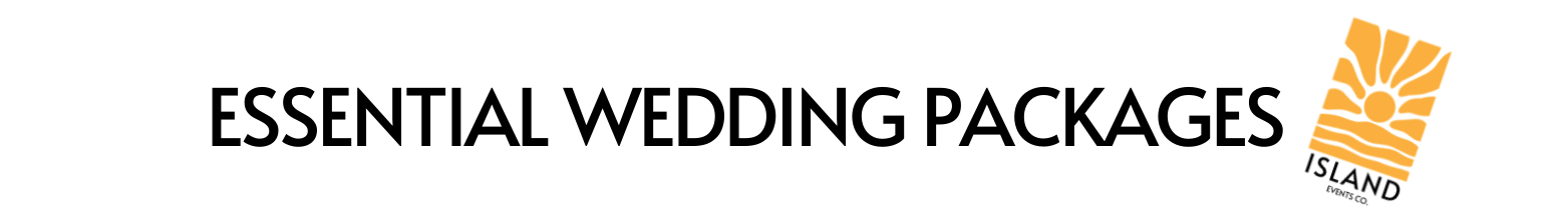 EDM Buttons V3 650x92 500 X 71 Px 35 - Island Events Co Bali